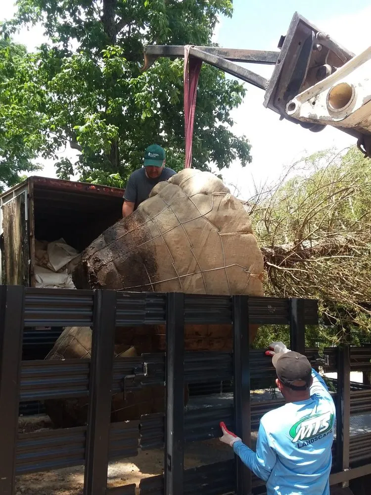 Affordable yard maintenance in Suwanee, GA - Cedar Creek Landscape