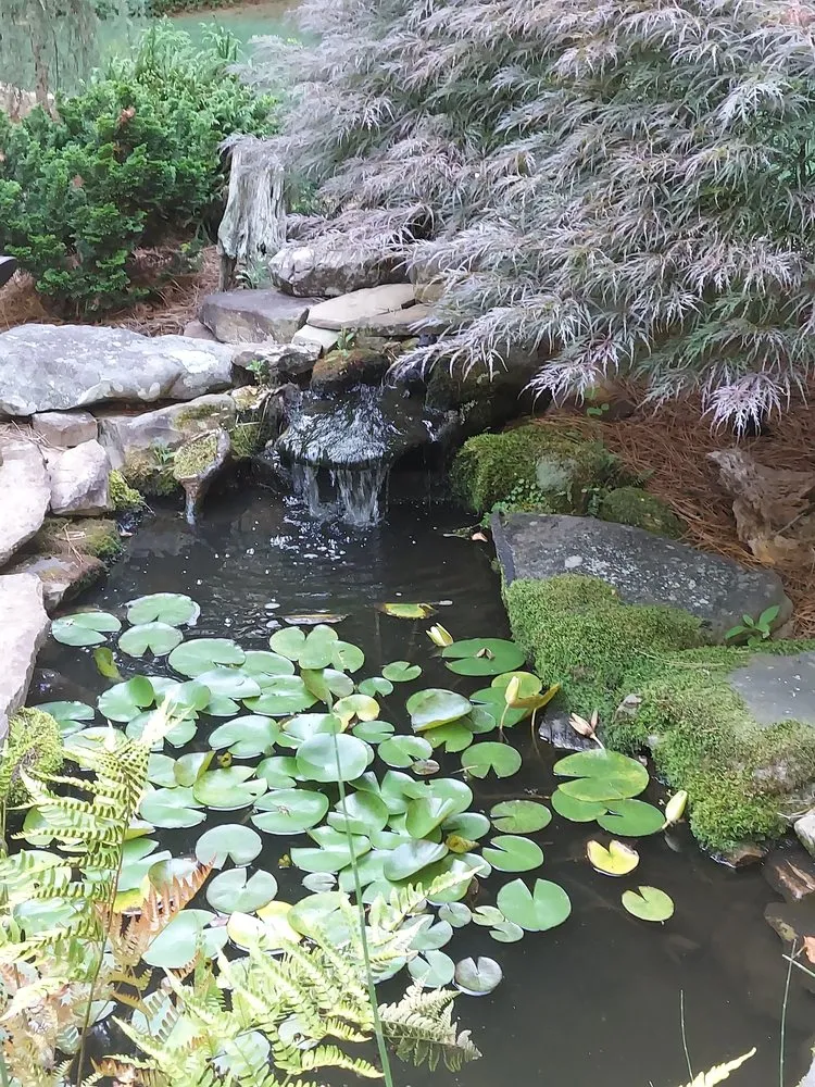 Professional outdoor landscaping for year-round maintenance in Suwanee, GA by Cedar Creek Landscape