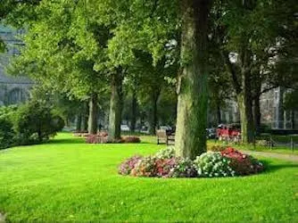 Top-rated landscape installation experts serving Cedar City, UT - Cedar Creek Landscaping