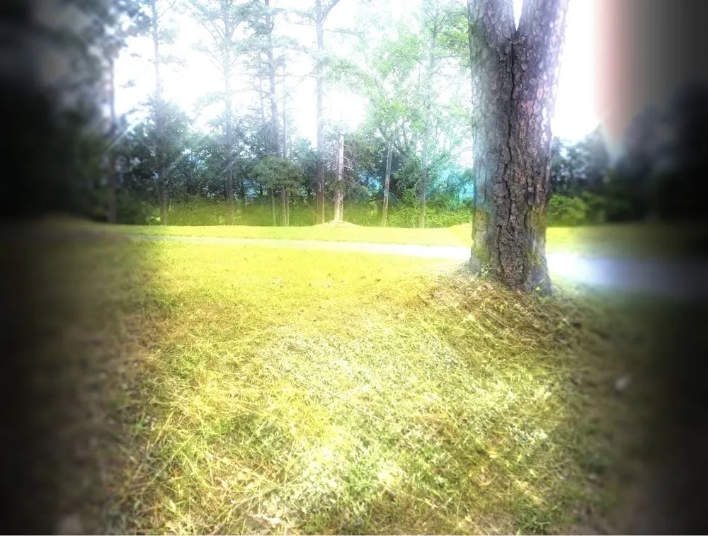 Local yard maintenance for homes in Charlottesville, VA by Cedar Footprints