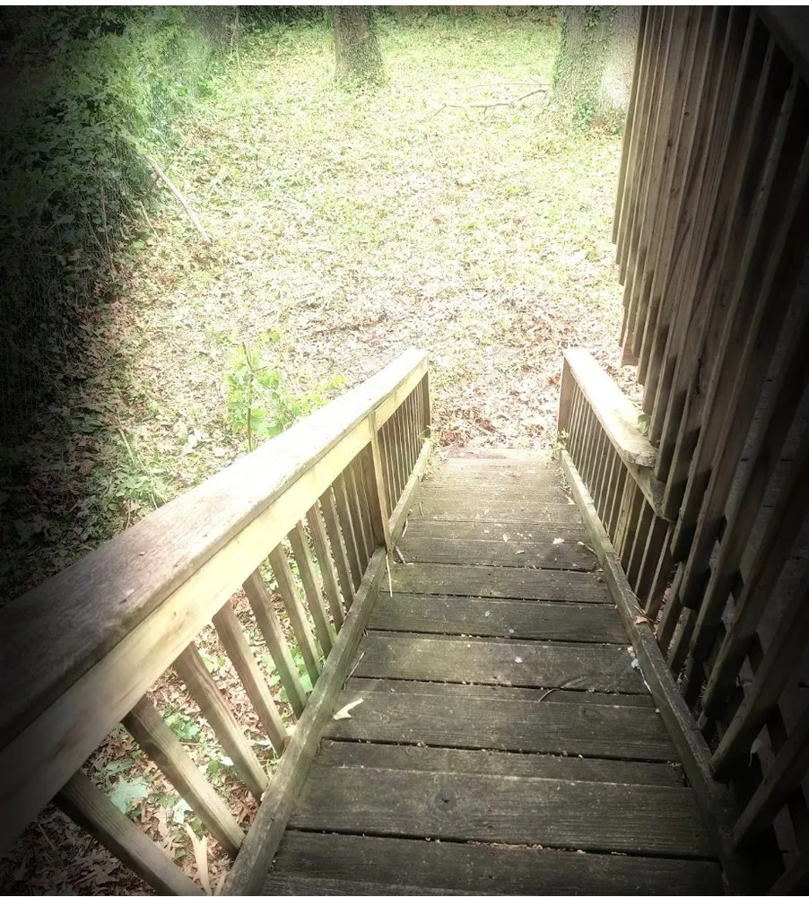 Local garden landscaping in Charlottesville, VA by Cedar Footprints