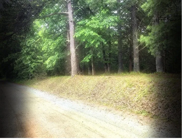 Trusted yard maintenance experts serving Charlottesville, VA - Cedar Footprints