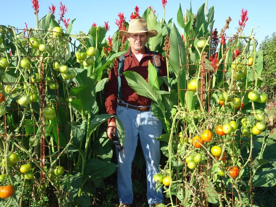 Trusted residential landscaping in Seymour, MO - Cedar Gap Top Soil