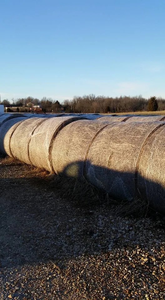 Trusted yard cleanup service in Seymour, MO - Cedar Gap Top Soil