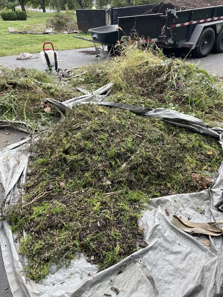 Trusted lawn mowing service for residential properties across Germantown, MD - Cedar Grove Landscaping & Lawn Care