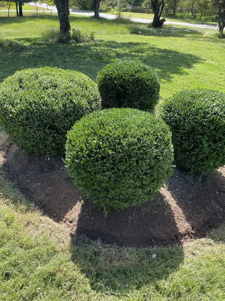 Local yard maintenance for outdoor upgrades in Germantown, MD by Cedar Grove Landscaping & Lawn Care