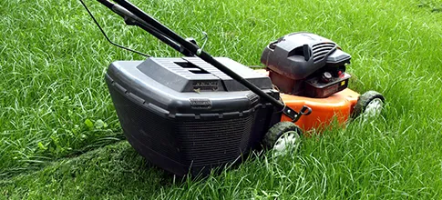 Expert yard cleanup service in Germantown, MD - Cedar Grove Landscaping & Lawn Care