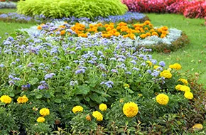 Local outdoor landscaping in Germantown, MD - Cedar Grove Landscaping & Lawn Care