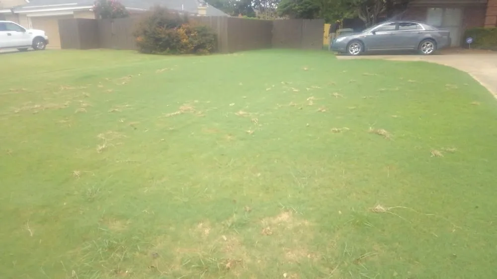 Local lawn care service for year-round maintenance in Prattville, AL by Cedar Hill Lawn Maintenance