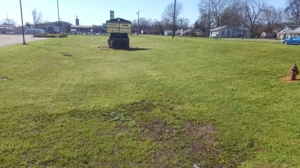 Professional landscape design in Prattville, AL - Cedar Hill Lawn Maintenance