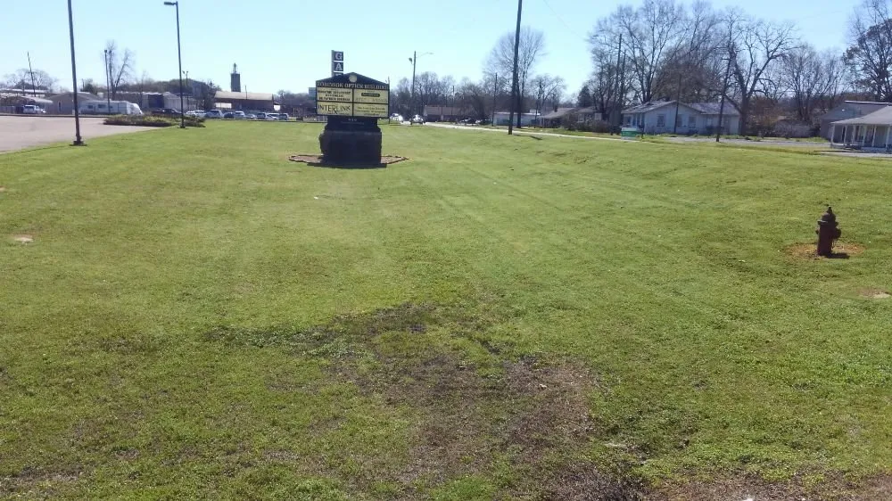 Expert lawn care service in Prattville, AL by Cedar Hill Lawn Maintenance