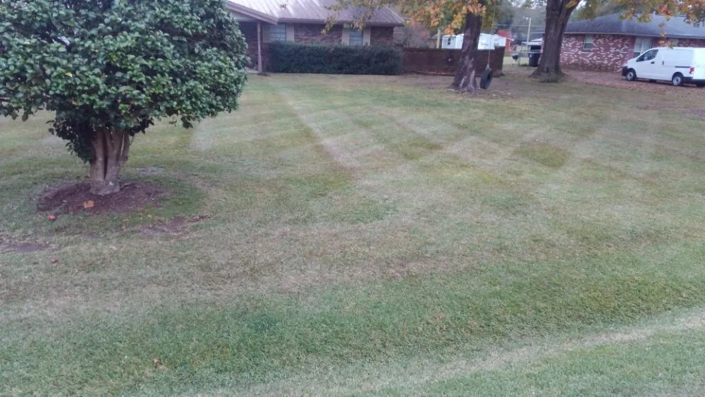Top-rated yard cleanup service in Prattville, AL by Cedar Hill Lawn Maintenance
