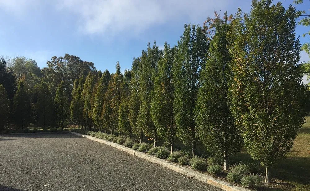 Local residential landscaping in Katonah, NY - Cedar Hills Landscaping