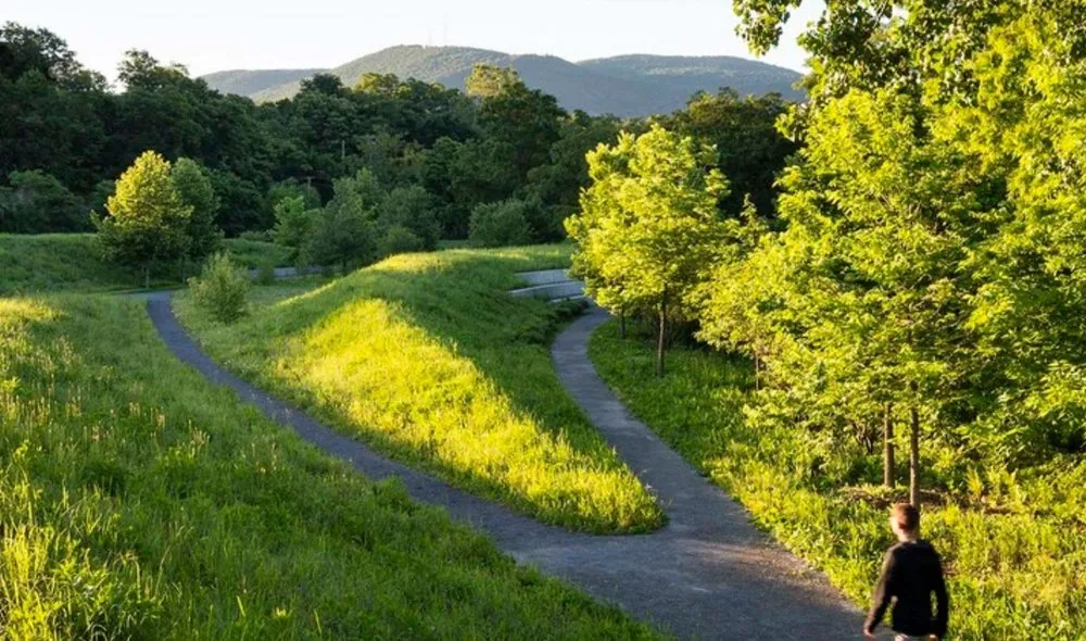 Top-rated lawn care service in Katonah, NY by Cedar Hills Landscaping