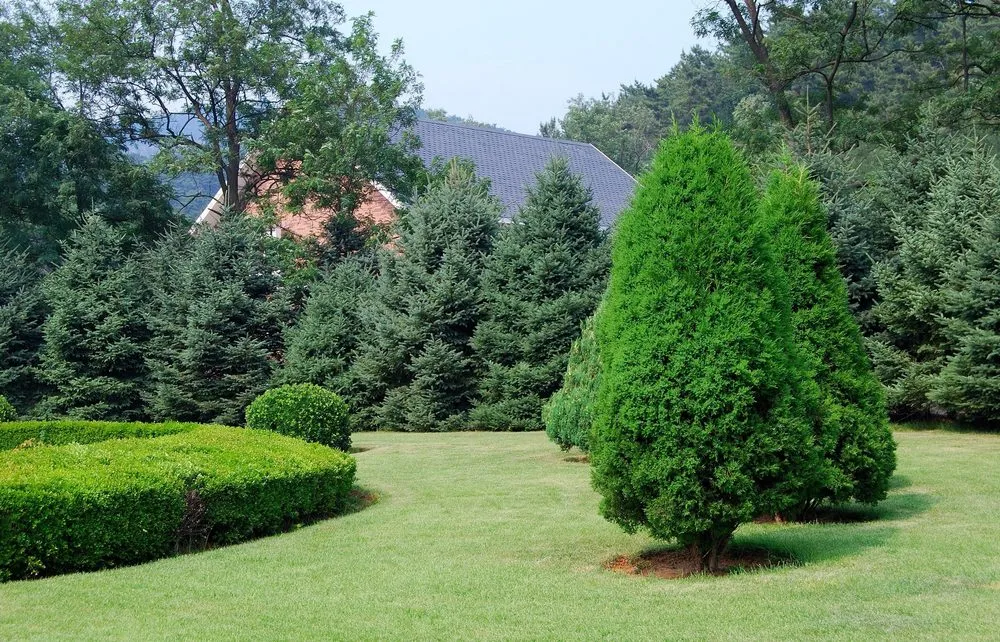 Expert landscaping services in Katonah, NY by Cedar Hills Landscaping