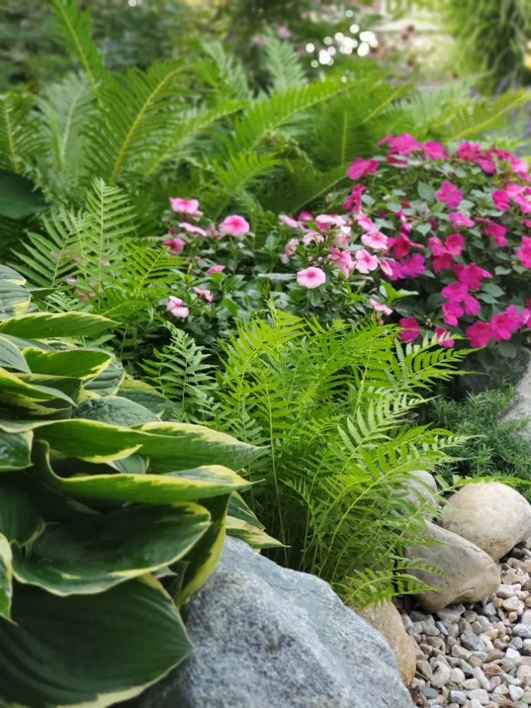 Local yard cleanup service for residential properties across Easthampton, MA - Cedar Horticulture