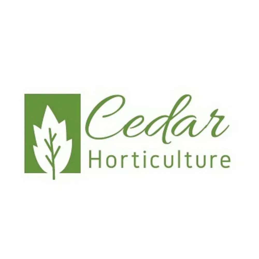 Top-rated yard cleanup service in Easthampton, MA - Cedar Horticulture