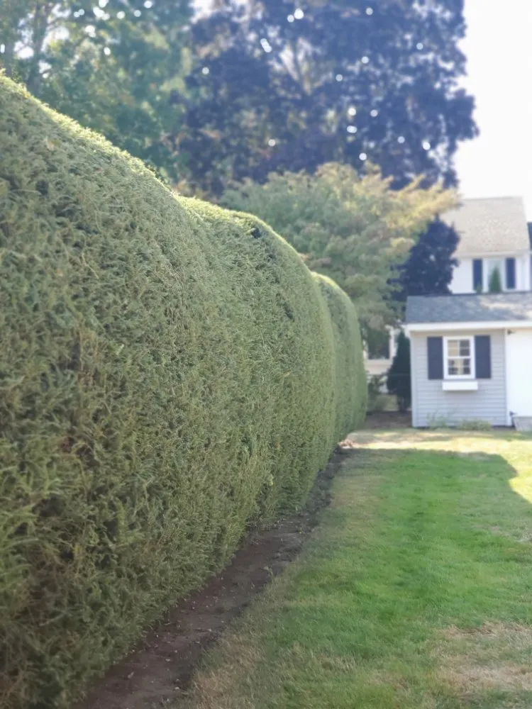 Reliable yard maintenance in Easthampton, MA by Cedar Horticulture
