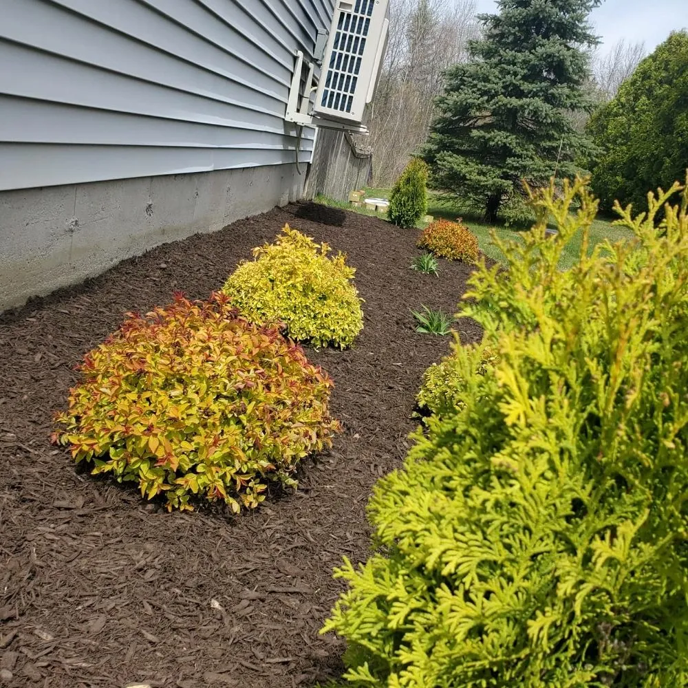Top-rated outdoor landscaping near you across Easthampton, MA - Cedar Horticulture