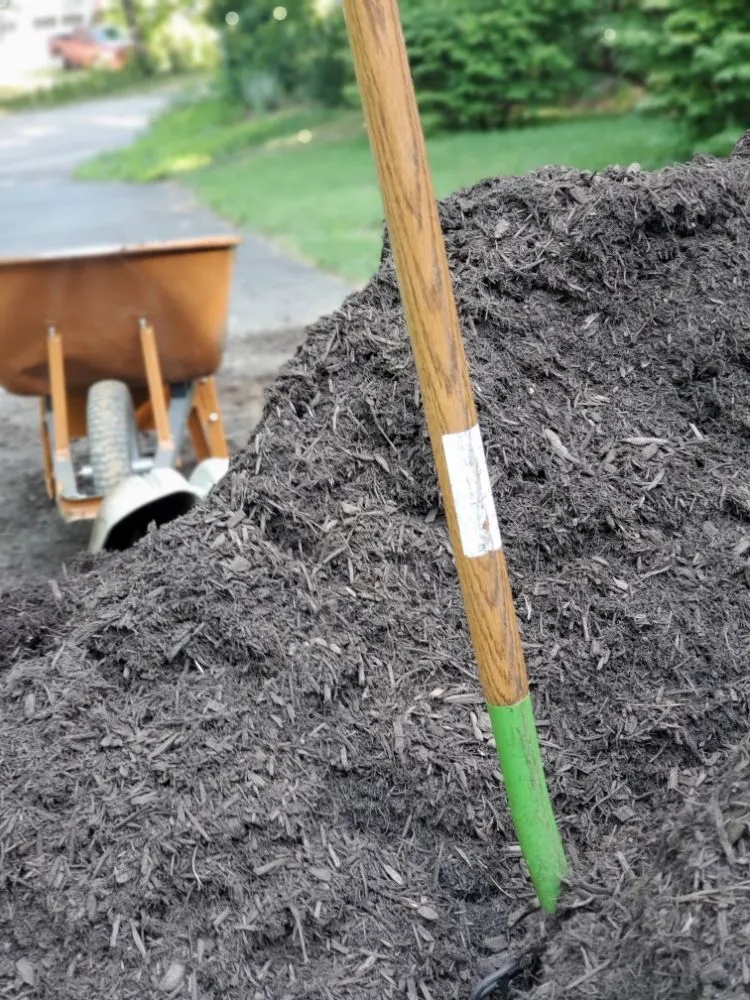 Affordable outdoor landscaping in Easthampton, MA - Cedar Horticulture