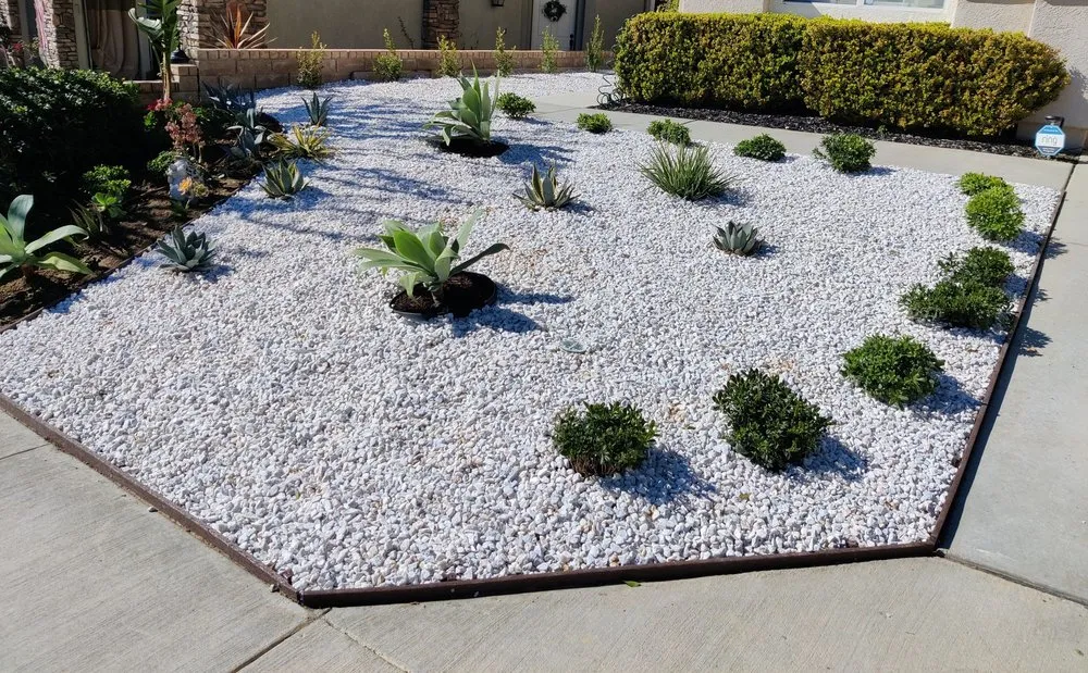 Top-rated landscaping services in Los Angeles, CA - Cedar Lake Gardening Services