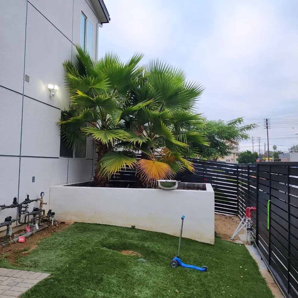 Affordable landscape installation near you across Los Angeles, CA - Cedar Lake Gardening Services