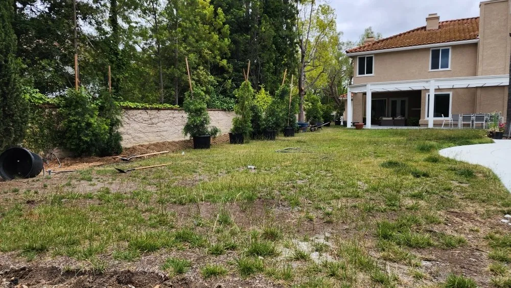 Top-rated garden landscaping for beautiful yards across Los Angeles, CA - Cedar Lake Gardening Services