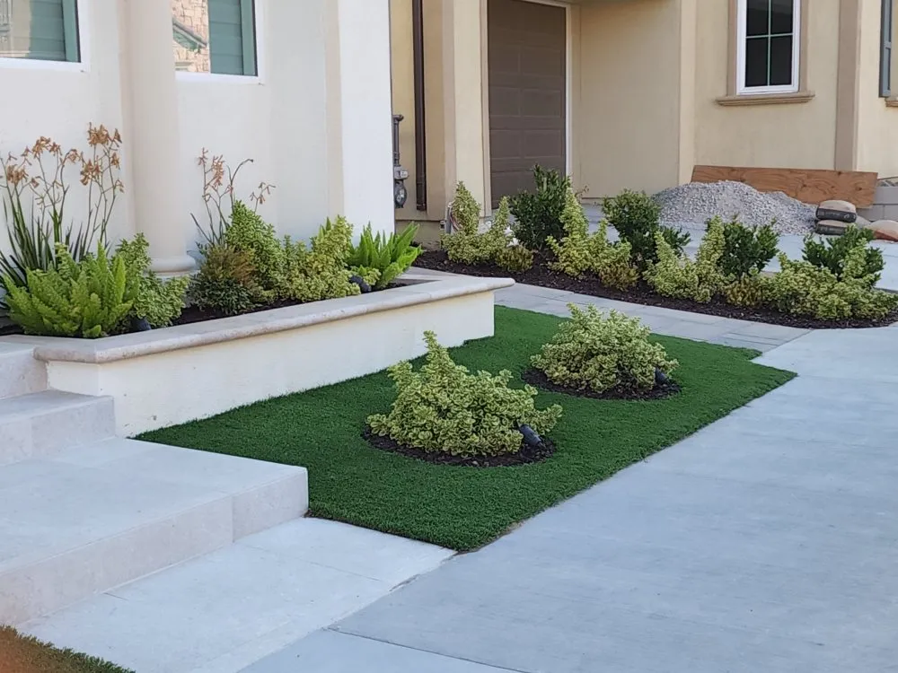 Trusted yard cleanup service near you across Los Angeles, CA - Cedar Lake Gardening Services