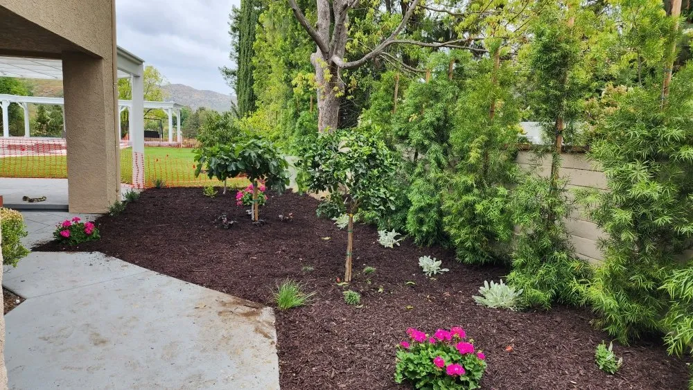 Affordable outdoor landscaping experts serving Los Angeles, CA - Cedar Lake Gardening Services