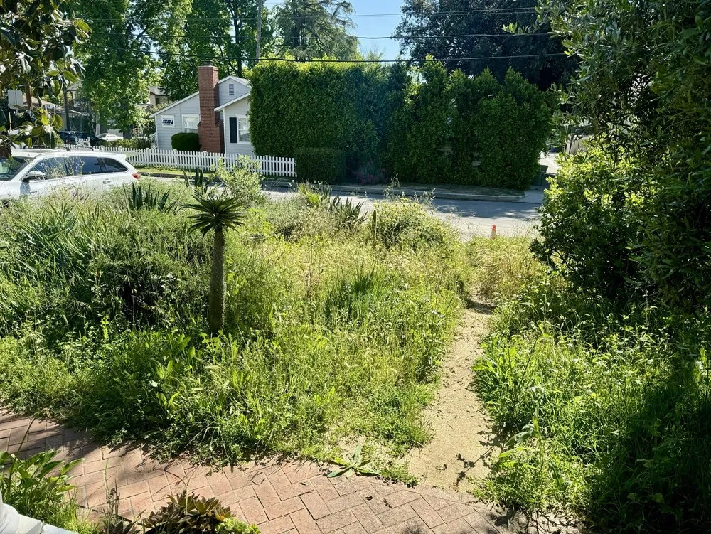 Reliable yard maintenance in Los Angeles, CA by Cedar Lake Gardening Services