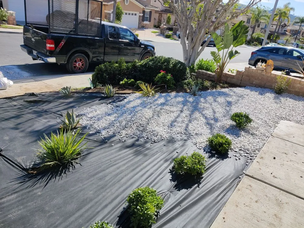 Local yard cleanup service for homes across Los Angeles, CA - Cedar Lake Gardening Services