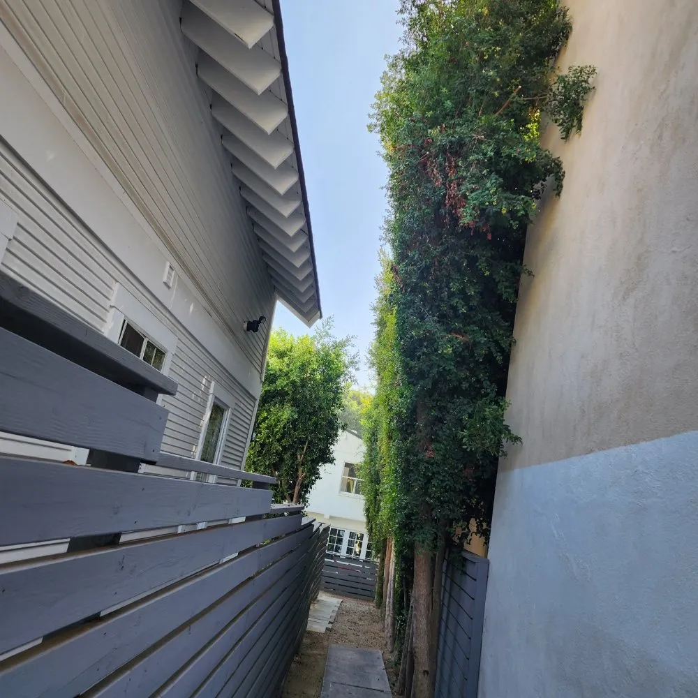 Trusted yard cleanup service in Los Angeles, CA by Cedar Lake Gardening Services