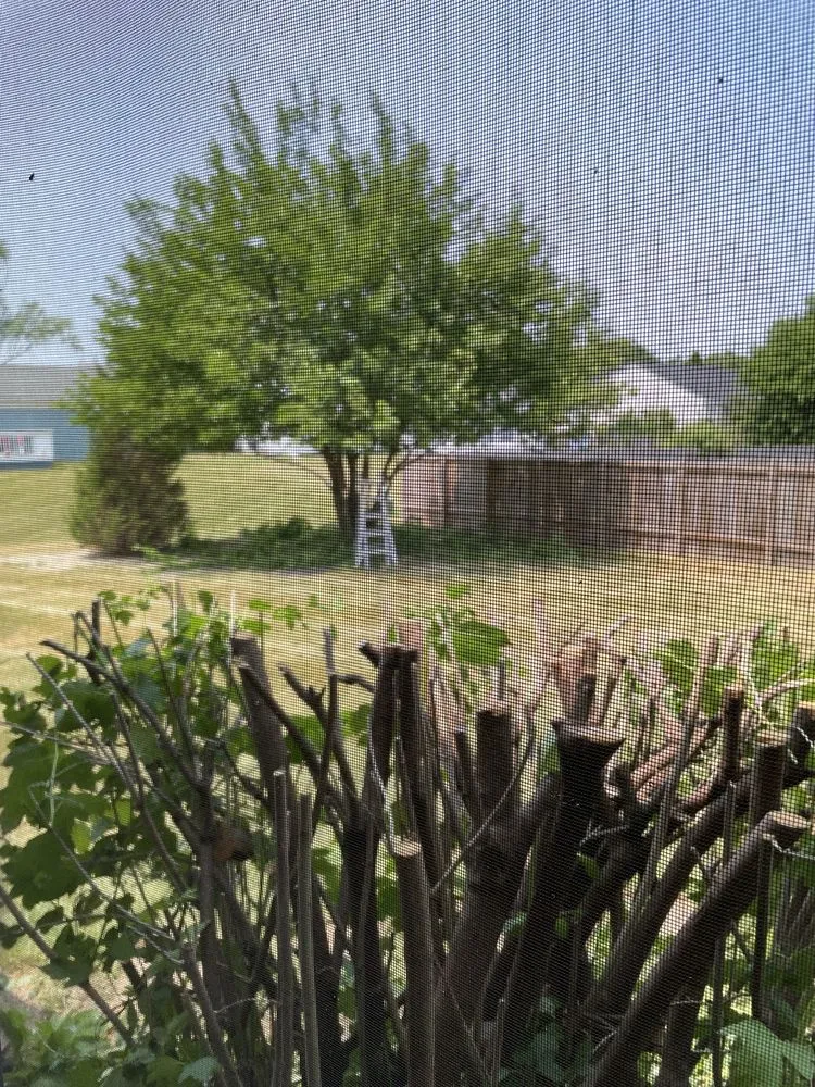 Custom landscape installation near you across Albuquerque, NM - Cedar Landscaping and Tree Care