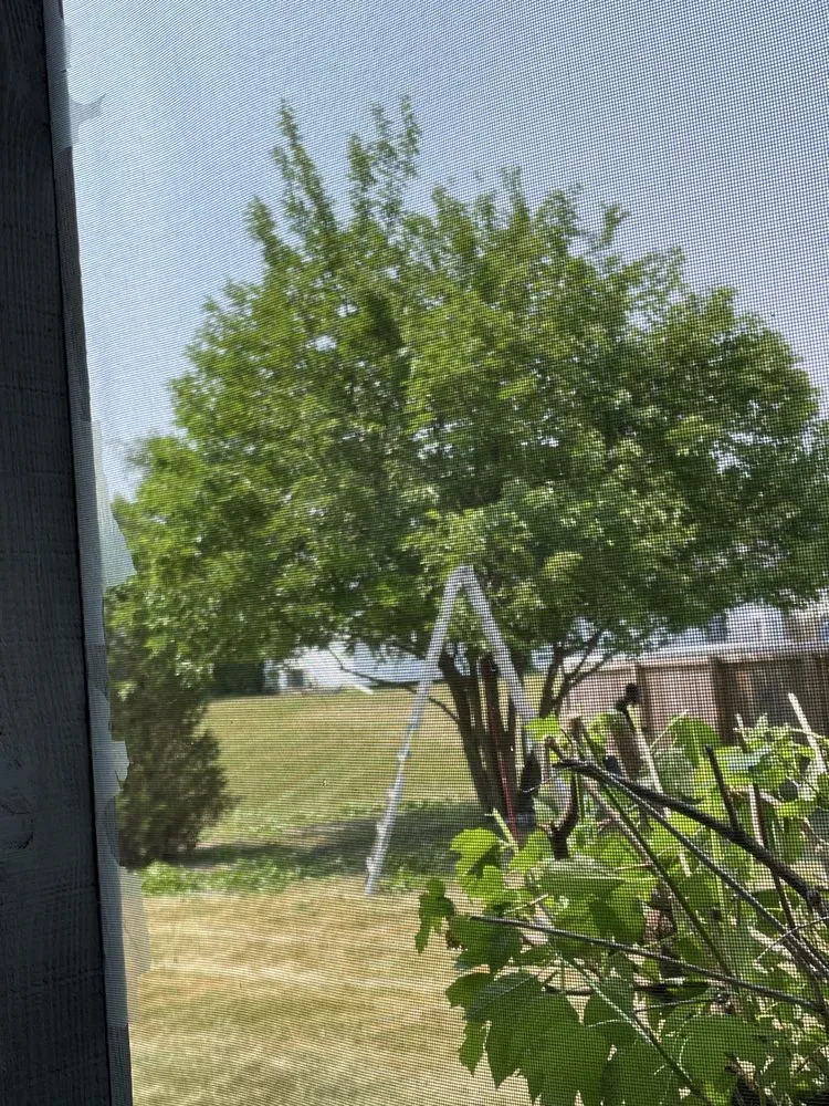 Custom garden landscaping for residential properties in Albuquerque, NM by Cedar Landscaping and Tree Care