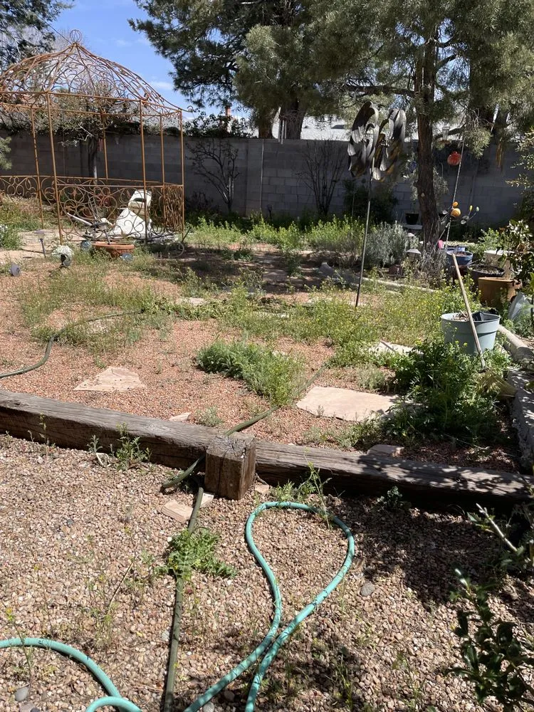 Trusted yard maintenance in Albuquerque, NM by Cedar Landscaping and Tree Care