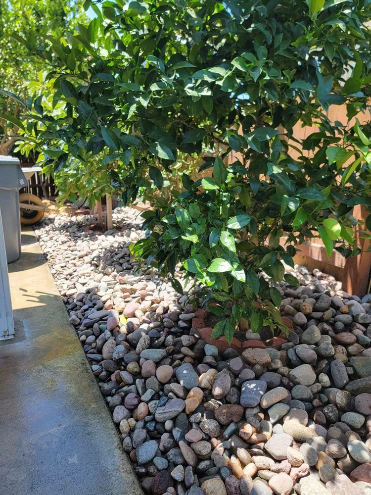 Professional landscape installation experts serving Eastvale, CA - Cedar Landscaping Services