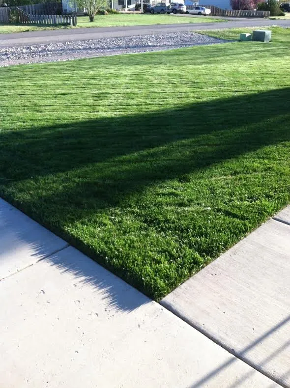 Local landscaping services in Cedar City, UT - Cedar Lawn Care