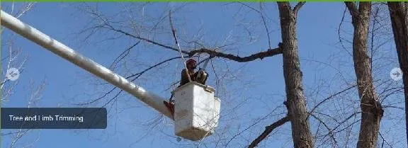 Expert landscaping services near you in Lander, WY by Cedar Mountain