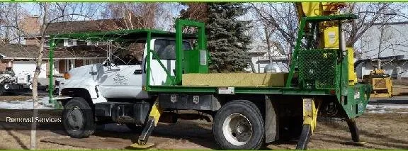 Affordable landscaping services in Lander, WY by Cedar Mountain