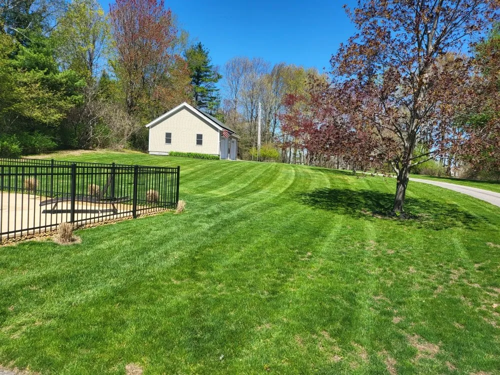 Top-rated yard cleanup service in Epping, NH - Cedar Point Home Services