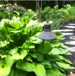 Custom lawn care service for year-round maintenance in Glen Arm, MD by Cedar Ridge Landscape Contractor, Inc
