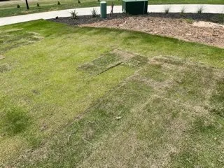 Custom residential landscaping in Roebuck, SC - Cedar Ridge Landscaping