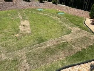 Affordable yard cleanup service for homes in Roebuck, SC by Cedar Ridge Landscaping