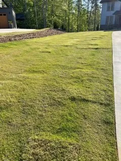 Custom yard maintenance near you across Roebuck, SC - Cedar Ridge Landscaping