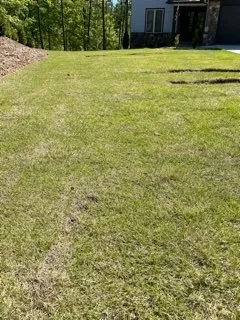 Professional yard maintenance for beautiful yards in Roebuck, SC by Cedar Ridge Landscaping