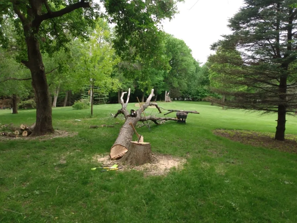 Reliable landscaping services in Austin, MN by Cedar River Landscapes