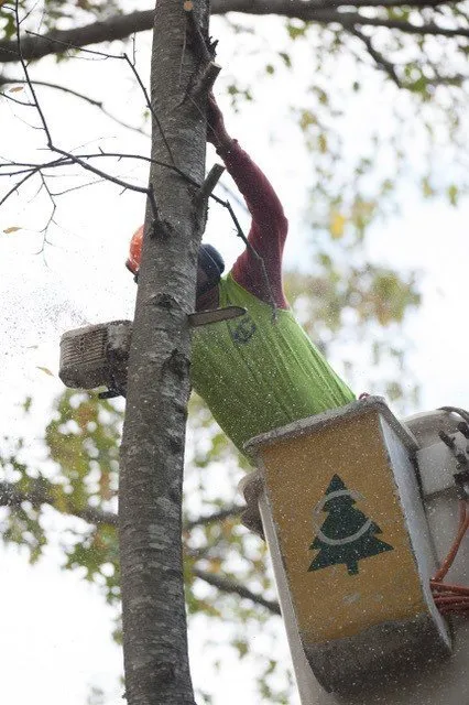 Expert lawn care service in East Greenwich, RI by Cedar Tree & Landscape Service