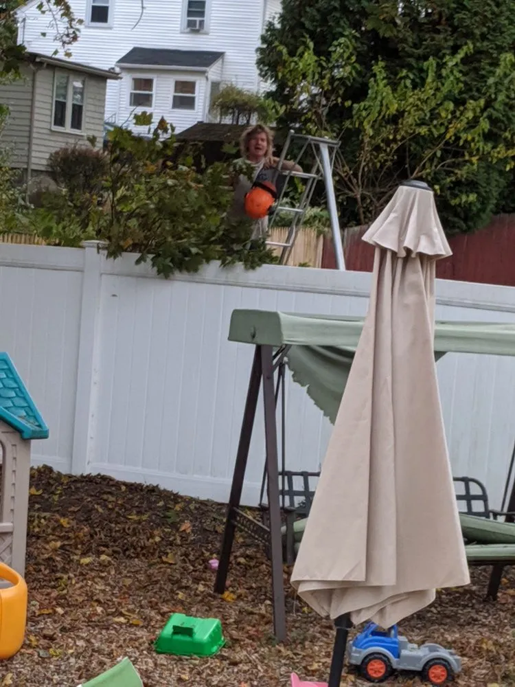 Professional yard maintenance in East Greenwich, RI - Cedar Tree & Landscape Service