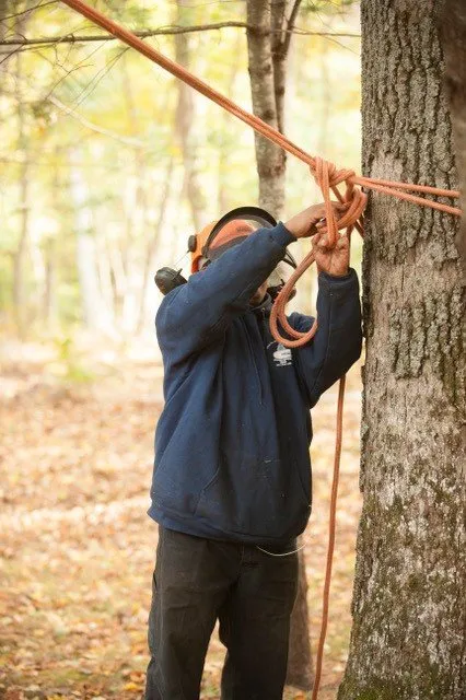 Affordable lawn care service in East Greenwich, RI - Cedar Tree & Landscape Service