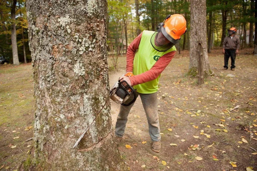 Top-rated lawn care service for homes across East Greenwich, RI - Cedar Tree & Landscape Service